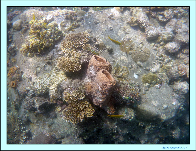 2009   07   Perhentians 022